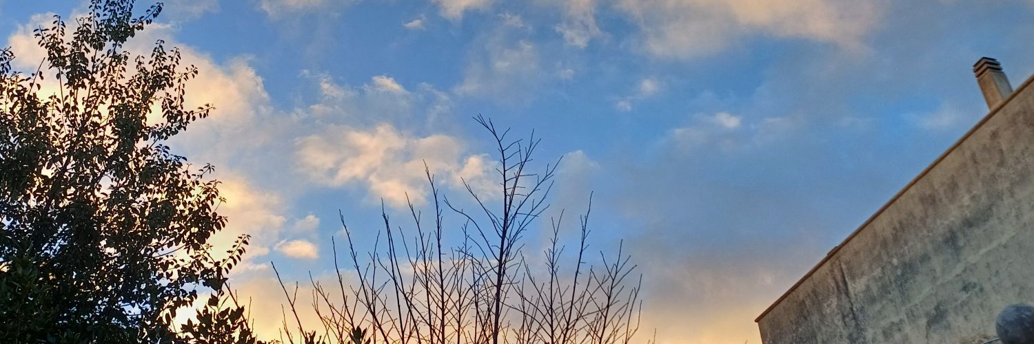 axhesf's profile banner image
