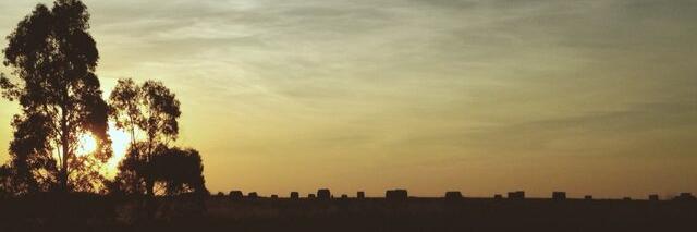 fjrnwdy's profile banner image