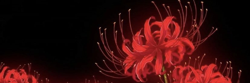 Jorge__Bonnet's profile banner image