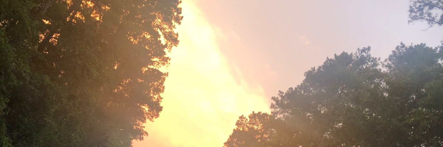 hotrodlee2003's profile banner image