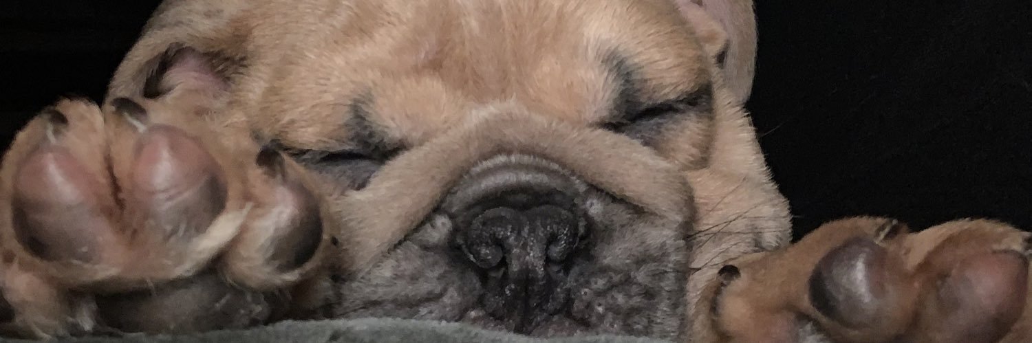 NikkiAnne8's profile banner image