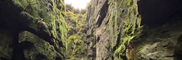 cotty_2k Profile Banner