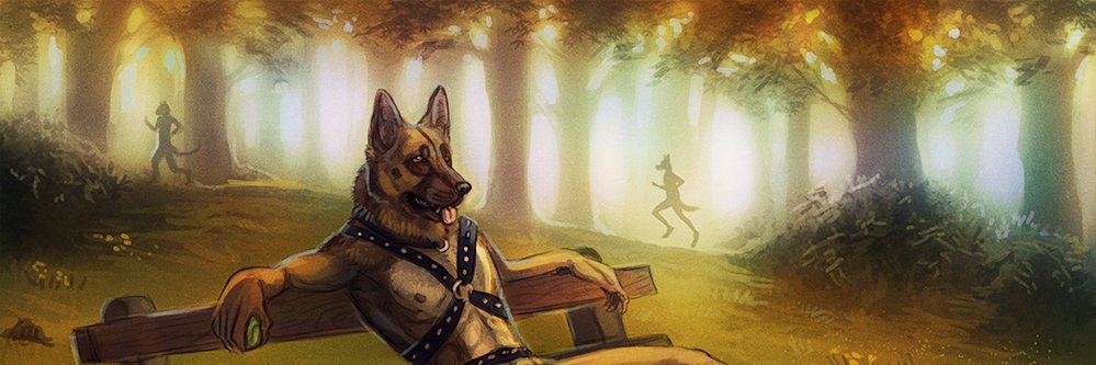 North_Shepherd's profile banner image