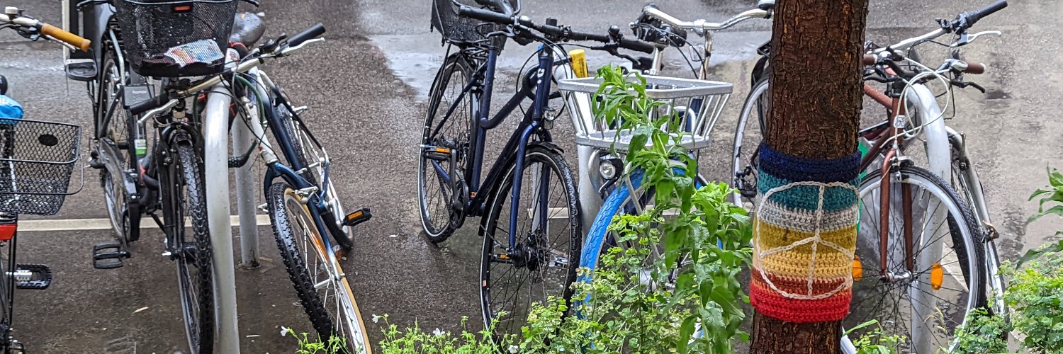 Dominik Hauser banner