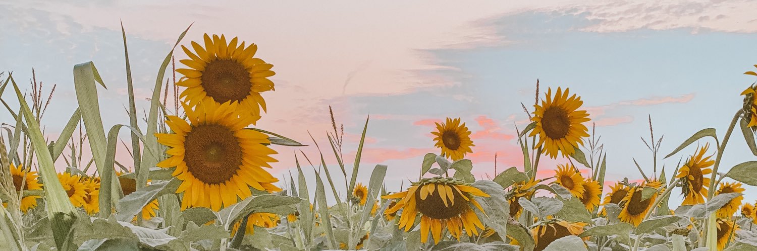 _maryoshea's profile banner image