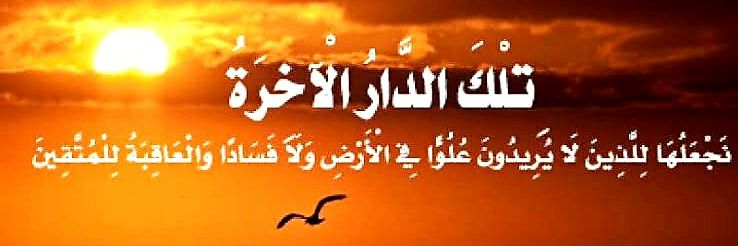 Hamdi Safa 🌴 - دار الخرائط العربية banner