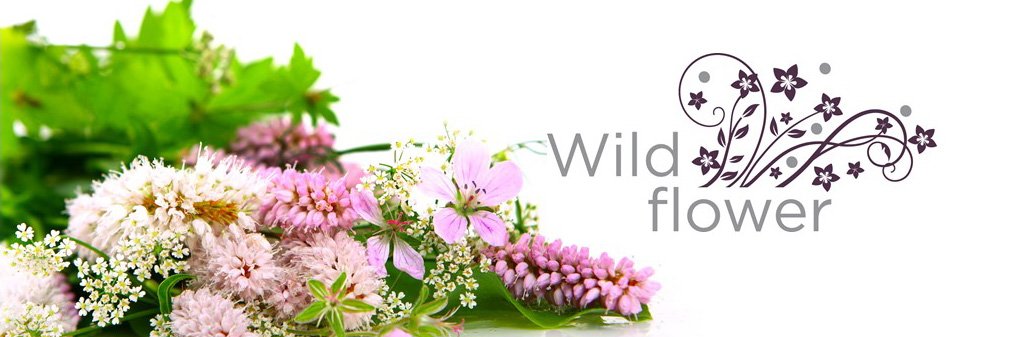 Wildflower_2015's profile banner image