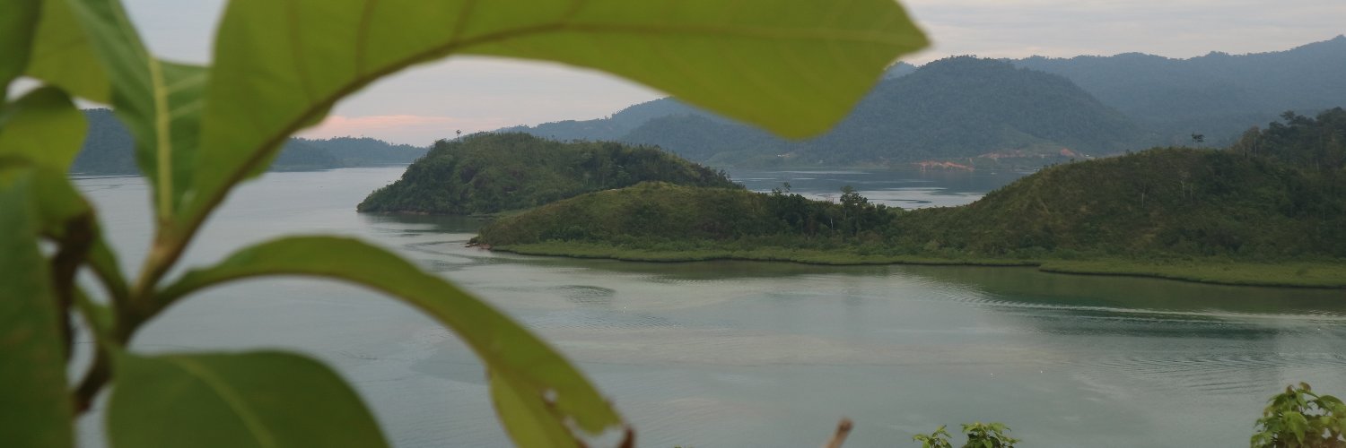 sespimarlin's profile banner image