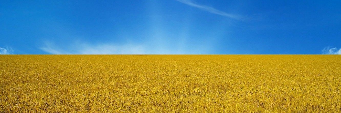 rednathoL's profile banner image
