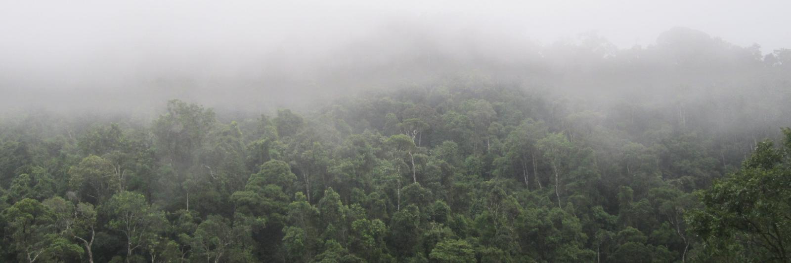 GERPmadagascar's profile banner image