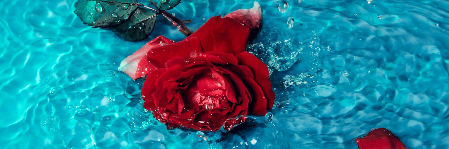 janeqfb's profile banner image