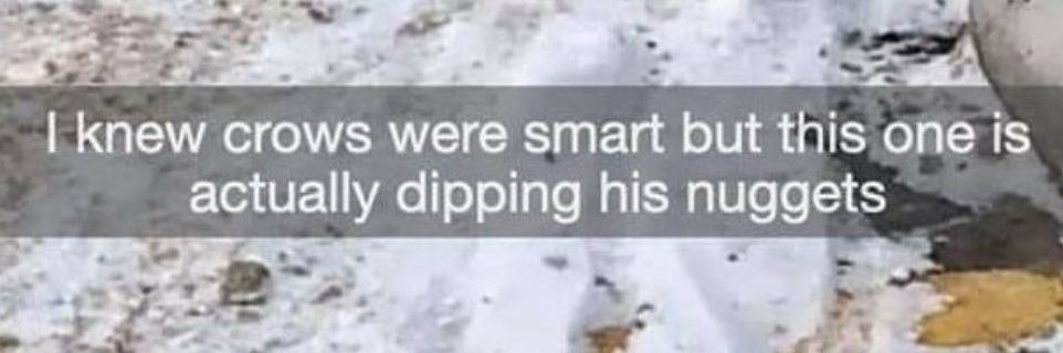 LEN INCOGNITO | Razor Fan Corner banner