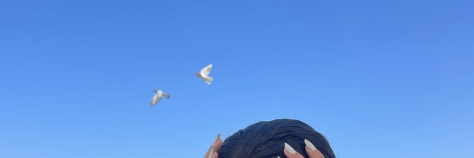saraameerr's profile banner image