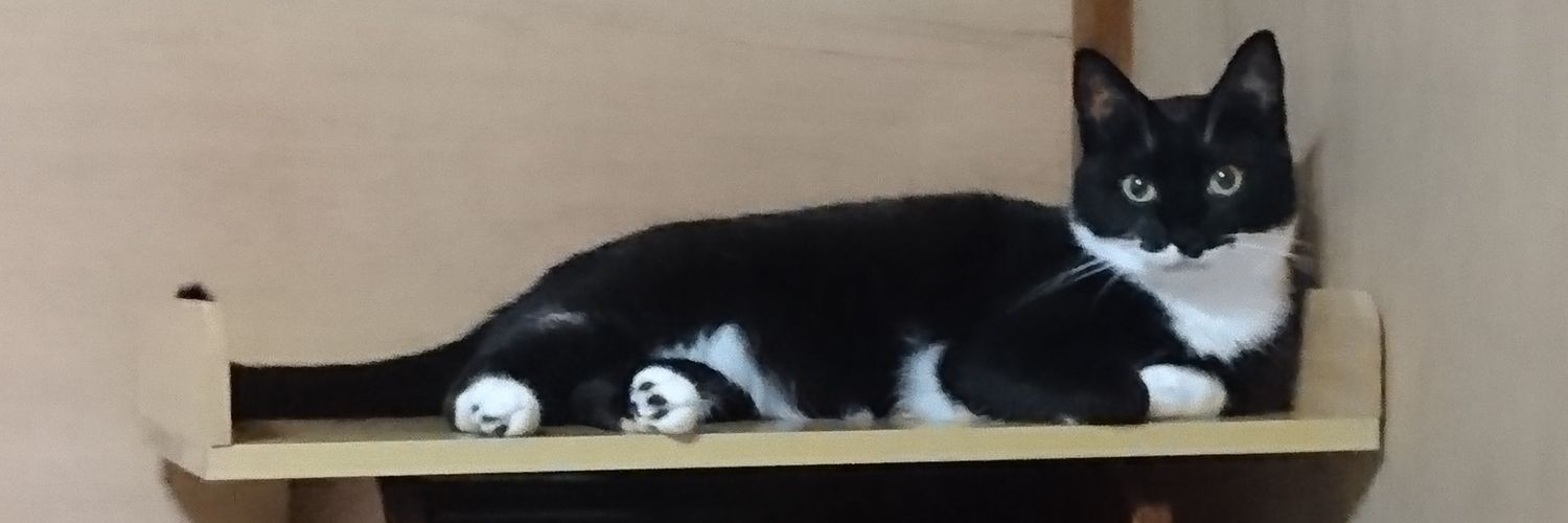 ポケラノドン ＊うちの猫の頭のてっぺんはホットケーキのにおいがする banner