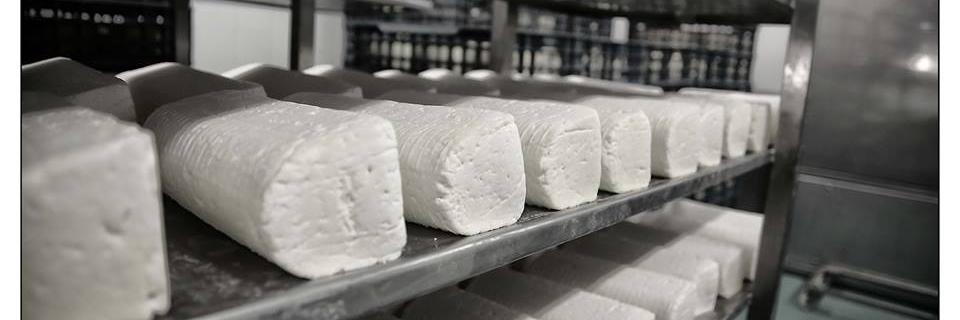 Quesería Montequesos banner