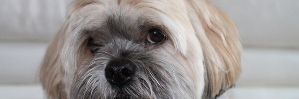 debarrowman Profile Banner