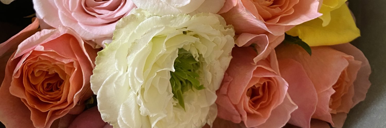 amyALOHAaina's profile banner image