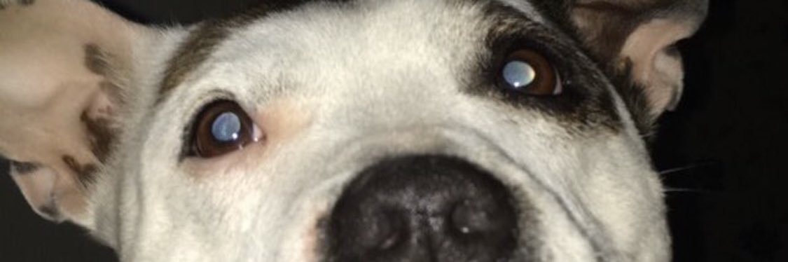 Debb_xxx's profile banner image