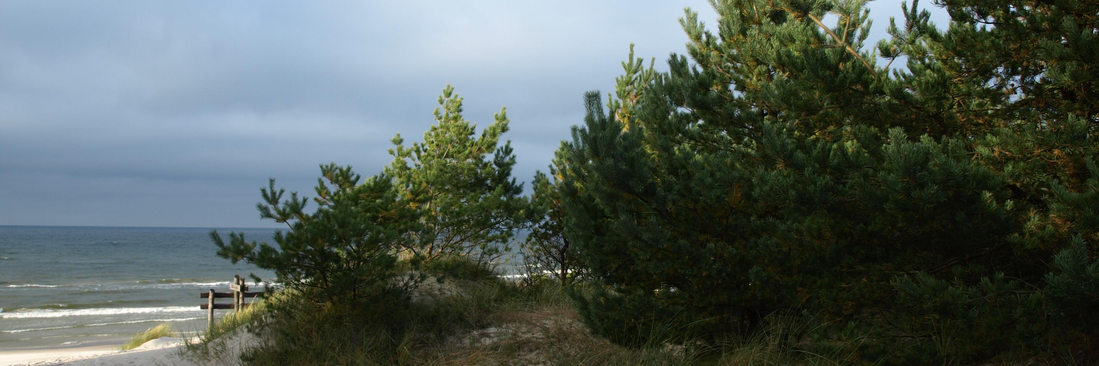 kinokathi's profile banner image