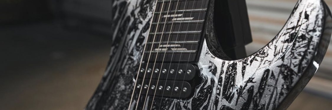 Schecter Guitars Official banner