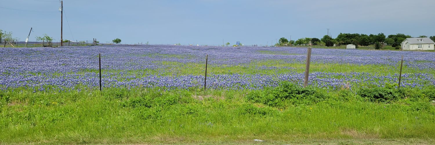 woolery_matt's profile banner image