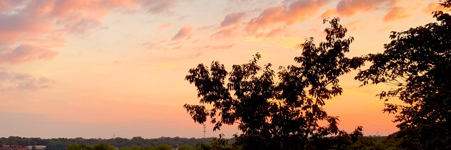 shyxnnx's profile banner image