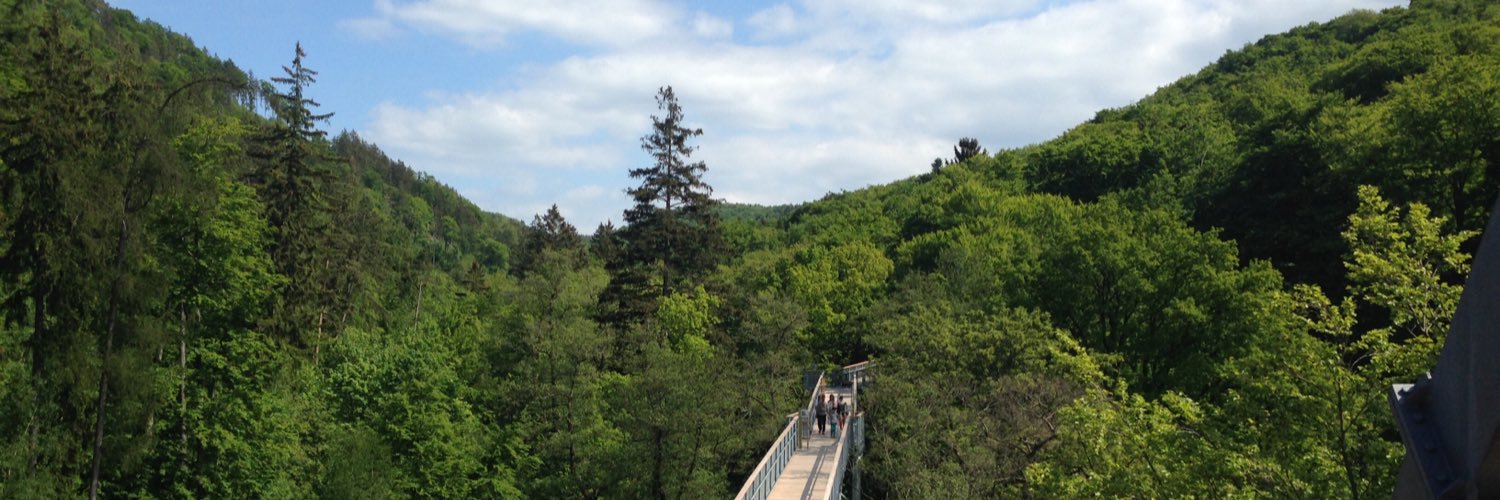 bwp_harz's profile banner image