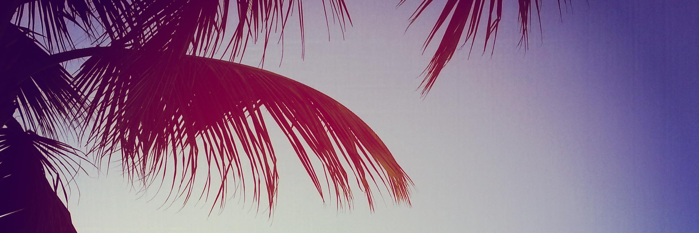 PLAYAPLAYA_CO's profile banner image