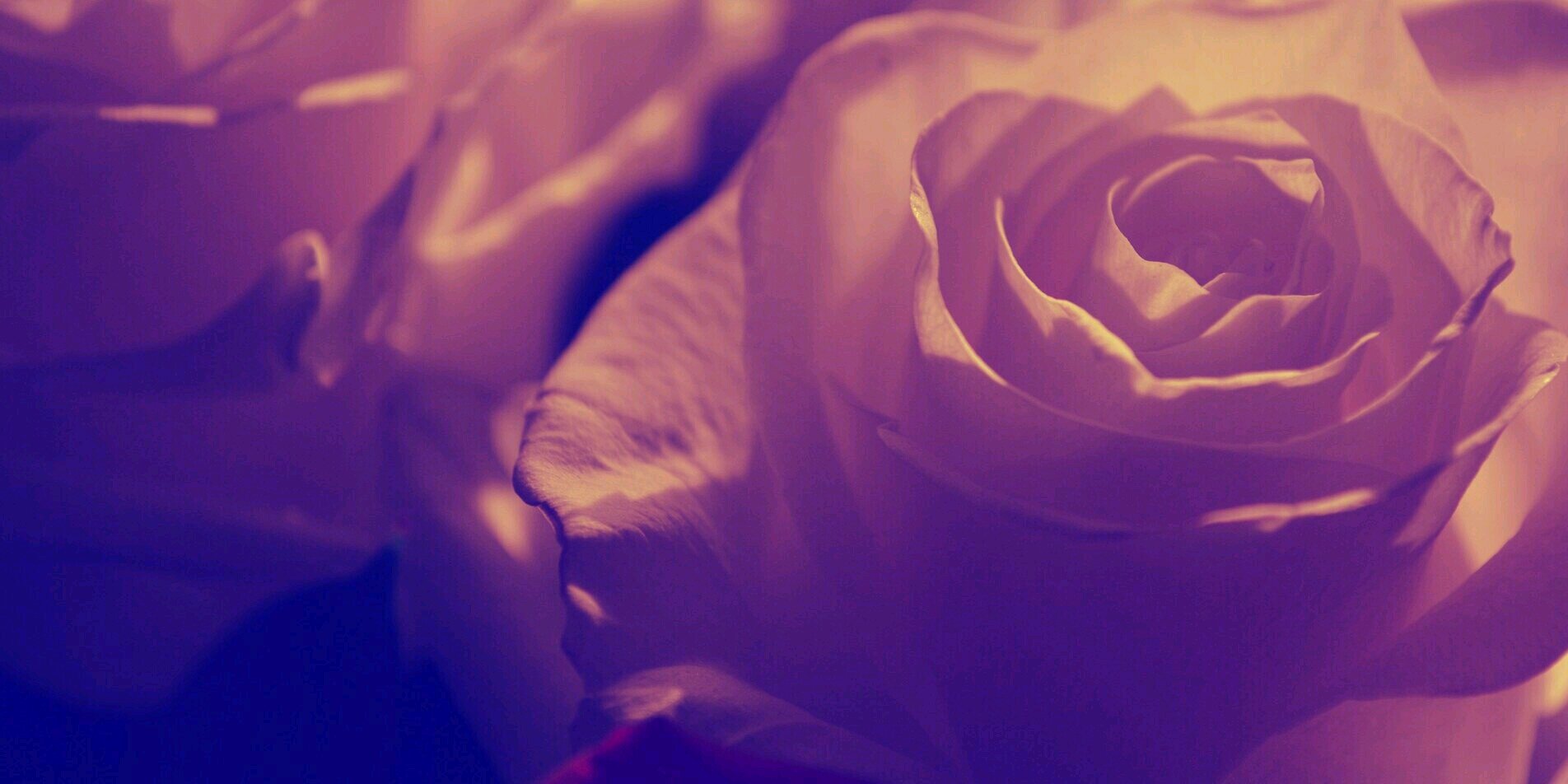 _NeeceyNice's profile banner image