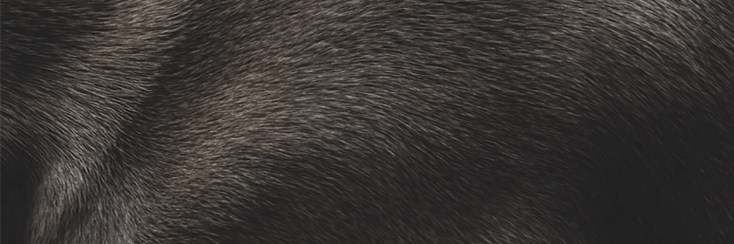 Brunnen Communications banner