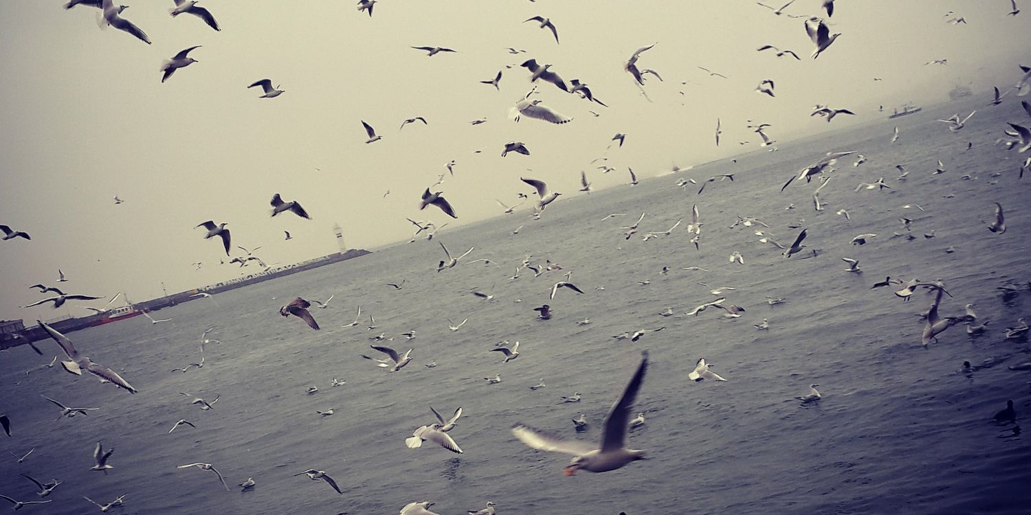 MirceElif's profile banner image