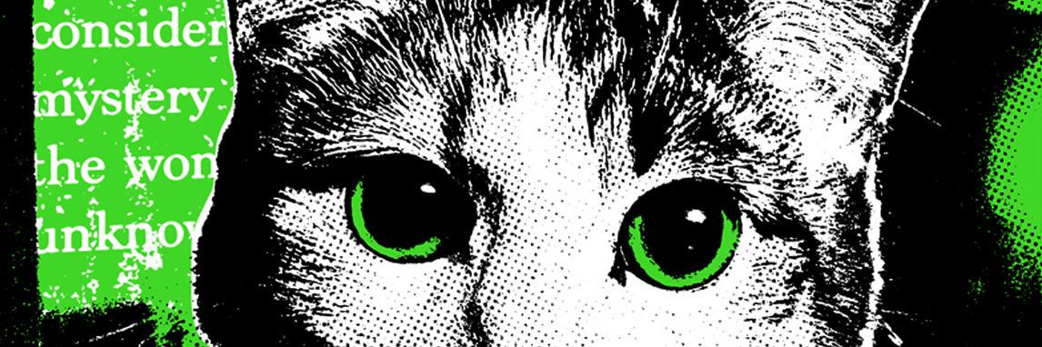 vintango's profile banner image