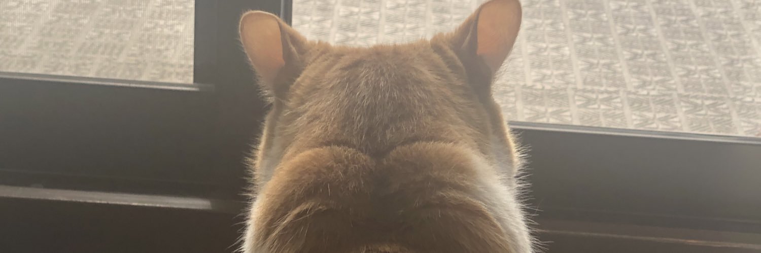 mmts09's profile banner image
