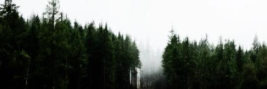 mattaytogdr's profile banner image