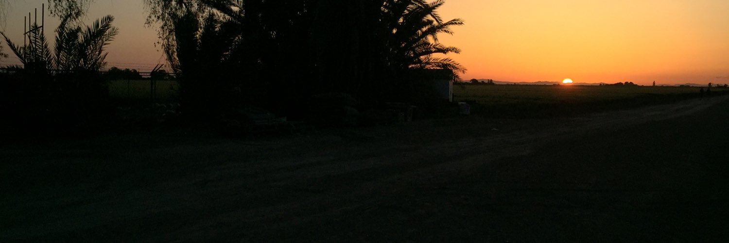 ZoeZiegler4's profile banner image