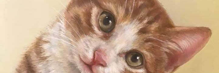 effa30's profile banner image