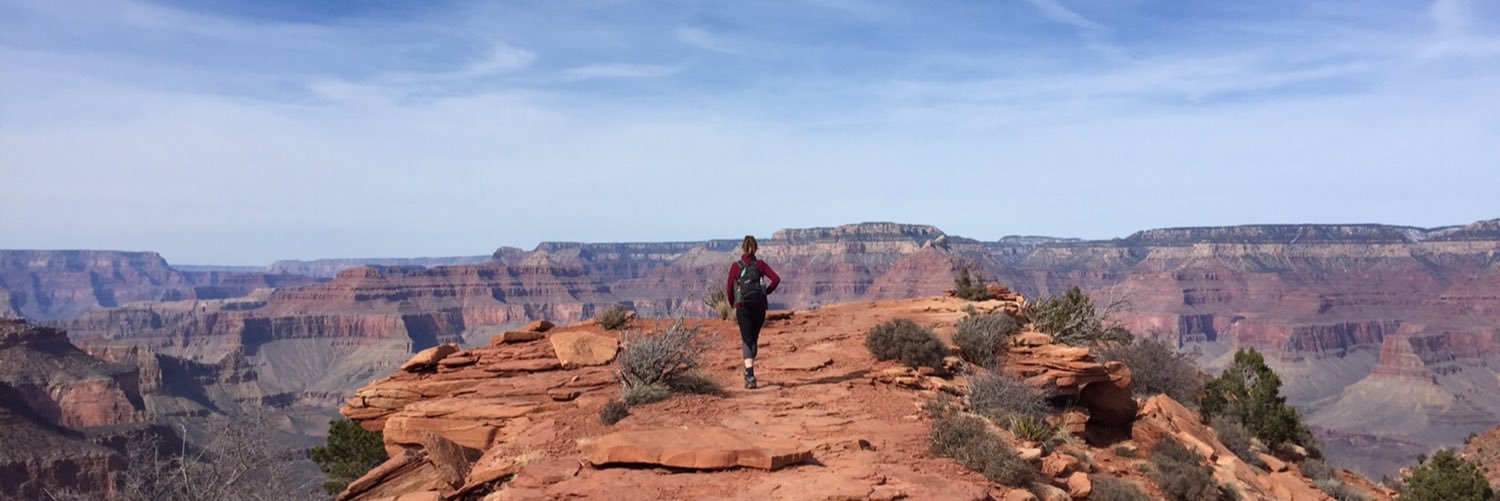 Kathleen Ronayne banner