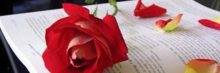 ma14477582's profile banner image