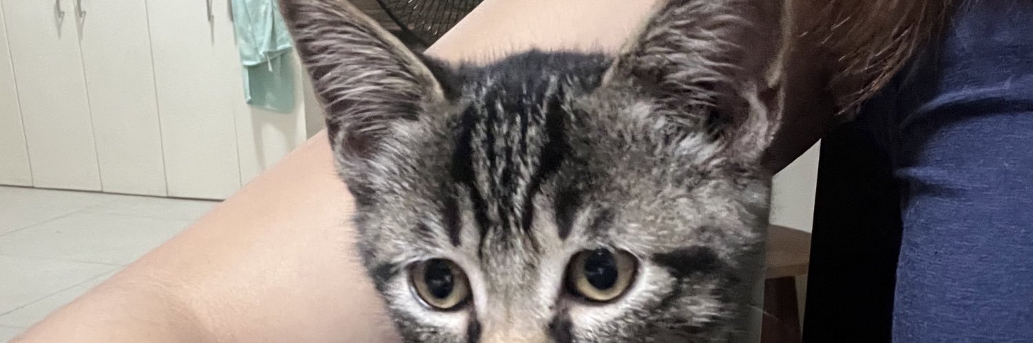 ptrickso's profile banner image