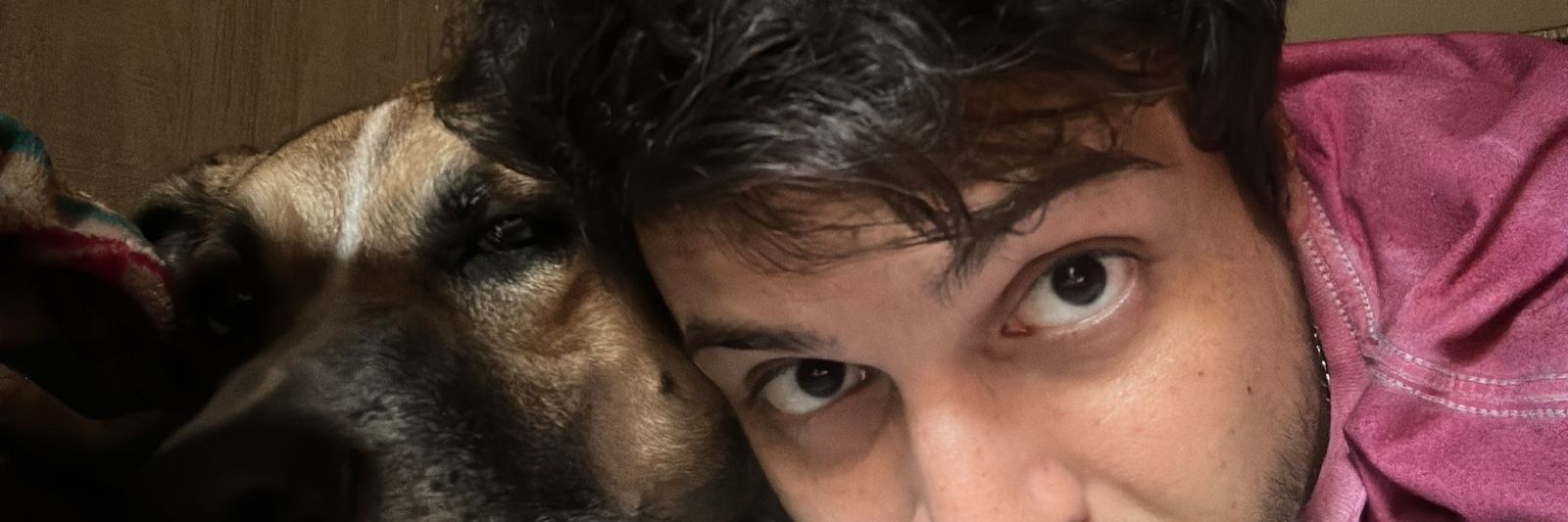 isabetapesce's profile banner image