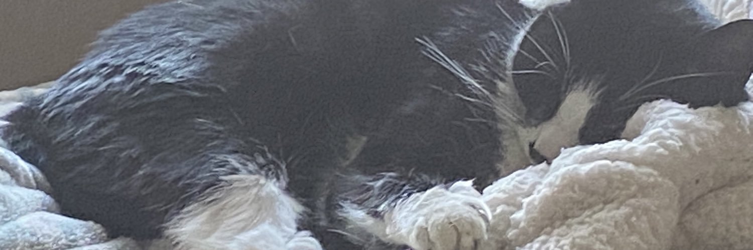 HooksGabi's profile banner image