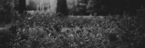 JonathanY151999's profile banner image