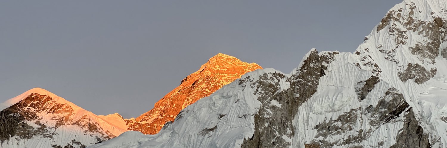 Lisa Besserman banner