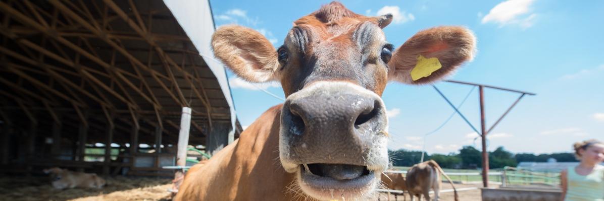 MarylandFarming's profile banner image