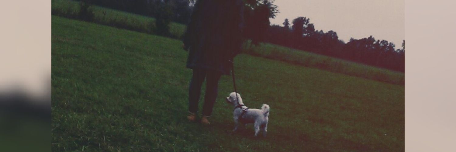 _should_die_'s profile banner image