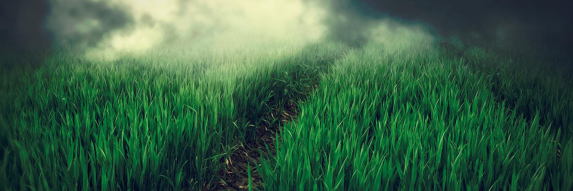 DeadCrywead's profile banner image