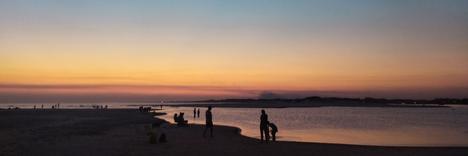 D. banner