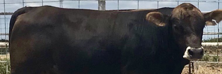 CollinAlexander's profile banner image