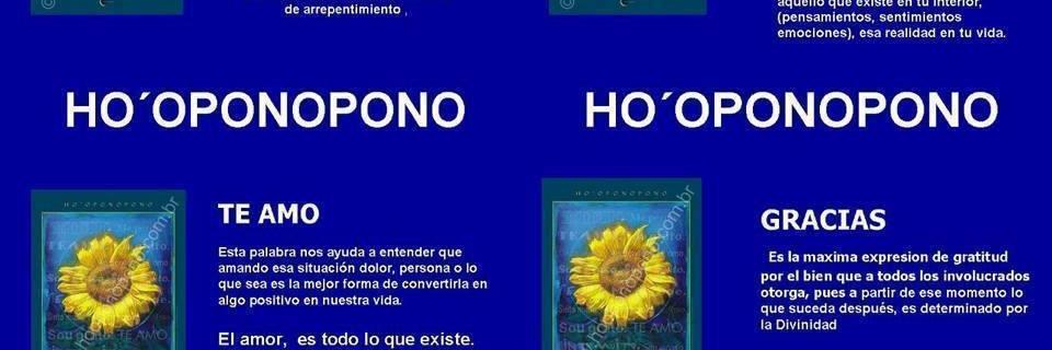 nunimerida1's profile banner image