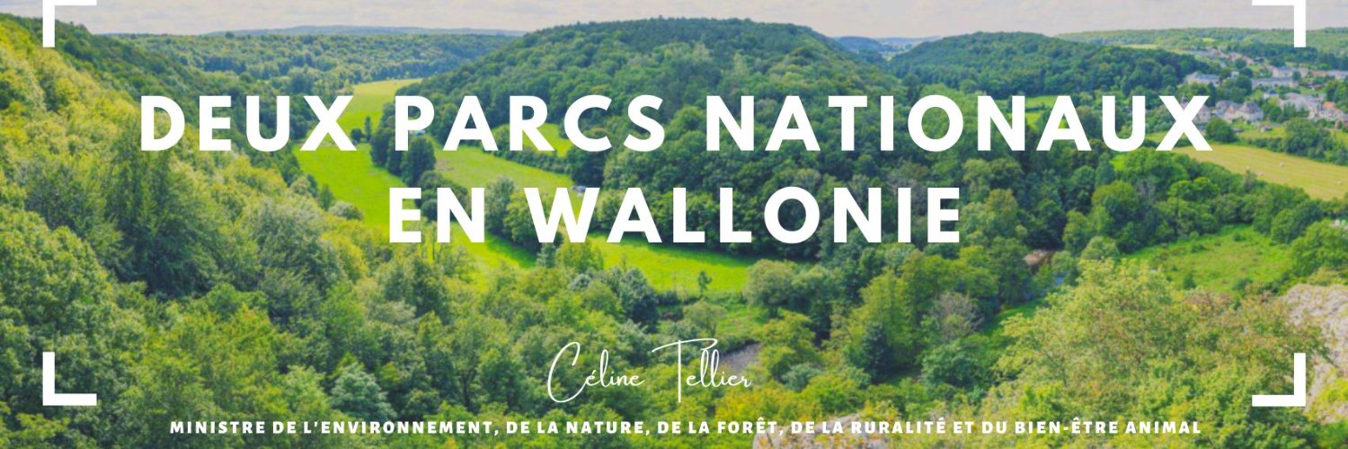 celine_tellier's profile banner image